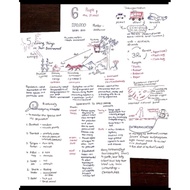 🔥[IGCSE NOTES] IGSCE Year 7 Science Notes (biology chemistry physics)(hard copy)