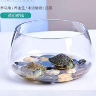 Goldfish Tank Glass Fish Tank Round Fish Tank Turtle Tank Desktop Aquarium Small Fish Tank Living Ro