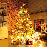 (WY) 6Ft 180cm Christmas Tree Green