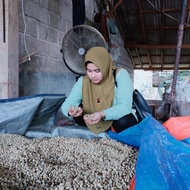 Biji Kopi Robusta Biji Kecil ijen raung bondowoso