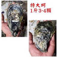 ~☆盛安鮮蚵水產☆~【中秋預訂】台南將軍新鮮現採帶殼牡蠣、蚵、生蠔，肉質鮮甜，一斤3～4顆，中秋開放預訂，歡迎訂購~