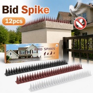 12Pcs Fence Wall Anti Bird Spike Roof Protection Anti Bird Spike For Outdoor Wall