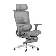 Ergonomic Chair for Long Sitting Comfort, Waist Support Office Chair, Computer Chair, Home Gaming Ch