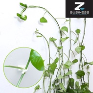 ZS 10pcs Plant Climbing Wall Fixture Clips / 10Pcs Invisible Wall Vines Fixture / Wall Sticky Hook V