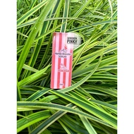 10X BOOSTER BRITHENING AZCOSMETIC