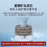 Fu Strontium Mineralization Filter Element Water Purifier Rear Activated Carbon Filter Element Small