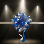 Ribbon Ball for Grand Opening Ceremony Aacc246