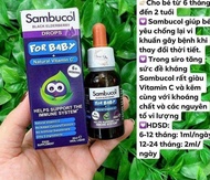 SIRO BỔ SUNG VITAMIN TĂNG HỆ MIỄN DỊCH CHO BÉ SAMBUCOL DROP FOR BABY 6 MONTHS 20ML