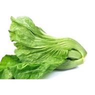 Mustard Green Seeds 300pcs Fr SG