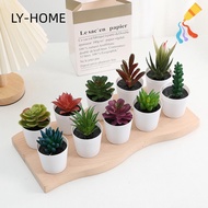 LIAOYING Artificial Succulent Bonsai, Plastic Desk Decoration Succulent Bonsai Plants, Tabletop Fake