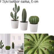 IK34 FEJKA (3 Pcs) Mini Cactus Pokok Cactus Hiasan