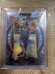 Panini Select LeBron James /99