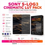 📸 Sony S-Log3 ARRI Film LUTs 🎬 | 11 Pro LUTs ✨ DaVinci Resolve • PR • CapCut