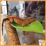 Vip Pet Fence Platform Leaf Shape Turtle Basking Platform Set for Gecko Tank Decor 3 Pcs with Suctio