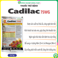Thuốc Trừ Bệnh Cadilac 75WG (gói 1Kg)