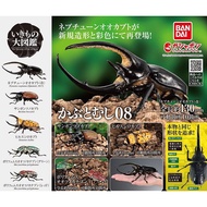 Gashapon Bandai Kuwaita Hercules Beetle Action Vol.08 Animal Model