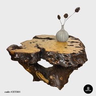 CET381. Chengal Emas Solid Wood Coffee Table/ Tea Table (Burl Wood)
