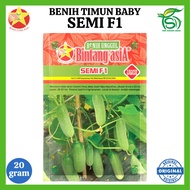 Benih Timun SEMI F1 (20 Gram) - Bibit Timun Lalap Baby Bintang Asia Gr