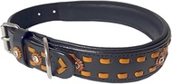 Leather Dog Collar in Western Design, Handmade, Trendy, Robust, Wide (XS 9-11 Inches)