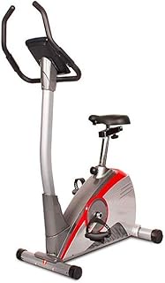 BZLLW Indoor Cycling Bike - Stationary Spin Bike,Silent Exercise Bike Roller Design for Easy Movement - for Professional Cardio Workout,Indoor Home Cardio Exercise Training