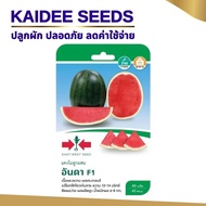 เมล็ดพันธุ์แตงโม อันดา F1 ตราศรแดง East-West Seed เมล็ดแตงโม เมล็ดพันธุ์ผัก เมล็ดผักสวนครัว แตงโม ศรแดง