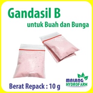 Pupuk Gandasil B Repack 10 gram / 10.000 mg pertanian aglaonema bunga