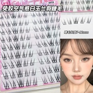 BQI Magnolia Glue-Free Lashes Light Makeup Airy Comic Eye Natural