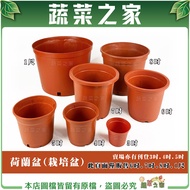 Dutch Pot (Cultivation Pot) 6 Inch.7 Inch.8 Inch.33cm ※ Other Sizes Available In The Store Red Plant