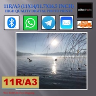 11R/A3(11x14/11.7x16.5 Inch) Photo Print + FREE Lamination + Wood Frame (Optional)