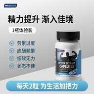 WhatCare Oyster Maca Zinc Selenium Oyster Essence Men's Energy Supplement Adult Nutrition Capsules