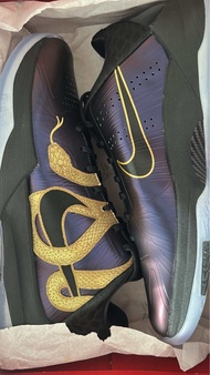 Kobe 5