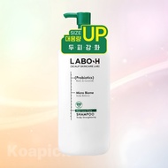 [labo h] Hair Loss Care Shampoo, 610ml, 1pc / Korean Hair Loss Shampoo / Thinning Hair Solution