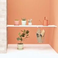 【max 120cm / 25kg】層架款 | 全功能伸縮置物架 KB-75