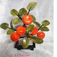 ◺ ♀ ◐ Kiat kiat Money Tree 5 fruits