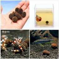 20pcs/lot Alder Cones Anti-Bakteria PH Tolak Rawatan Air Akuarium Tangki Udang Ikan