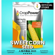 (500 GRAM) Biji Benih Jagung Manis Big Sweet 甜大棒  SC832 CROP POWER F1 HYBRID Sweetcorn Seed 甜玉米种子 SC
