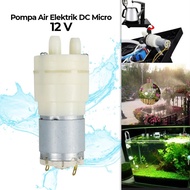 Multifunction Electric Water Pump DC Mini Water Pump 5W 12V