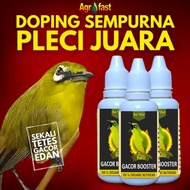Vitamin Burung Pleci Gacor Bocor Doping Pleci Buka Paruh Booster Gacor Pleci  Doping Pleci