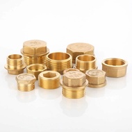 Brass Blanking Plug Screw Plug AG 1/8"~2" inch Cap/Plug Cover