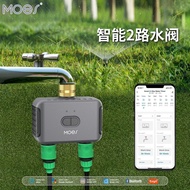 Bluetooth Graffiti Smart Home Garden 2-Channel Irrigation Water Valve app Remote Control Sprinkler D