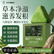 Seven Green Platycladus Arborvitae Shampoo Soap Re Seven Green Cypress Shampoo Soap Remove Oil Anti-
