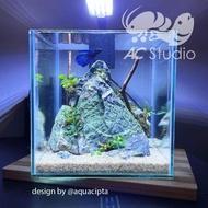 Aquarium tank only, 20cm cube tank, betta fish tank, guppy fish tank