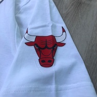 BIG SALE Chicago Bulls T-Shirt for Adult Men Bulls T-Shirt Bulls T-Shirt