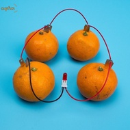 CUPFUN Electricity Experiments Science Kit, Bio Energy Potato Powered Fruit Battery Science Experime