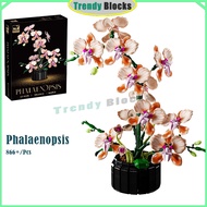 13111,New Orchid Bouquet DIY Handmade Toys Phalaenopsis Decoration, Ornaments Gifts for Girls