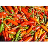 MERAH ️ Medan Shop ️ Fresh Red Cayenne Pepper