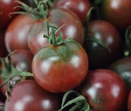 以色列紫靚女聖女果種子 種籽糖度高紫黑色西紅柿高產櫻桃小番茄種籽子fpny