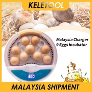 Small Household 9 Egg  Incubators Chicken Duck Bird Egg Incubator  LED Light Automatic Constant Temperature Incubator