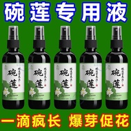 Bowl Lotus Dedicated Nutrient Liquid Water Lily Fertilizer Universal Water-Soluble Fertilizer Hydrop