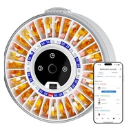 Automatic Pill Dispenser with 31-Slot Fingerprint&amp Mechanical Dual Lock Alarm Function Designed f
